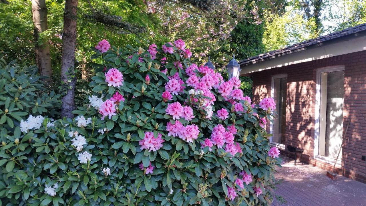 Ferienwohnung Morgensonne Вестерщеде Екстериор снимка