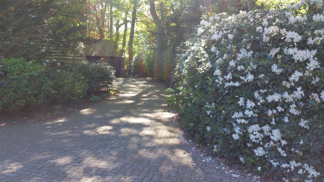 Ferienwohnung Morgensonne Вестерщеде Екстериор снимка