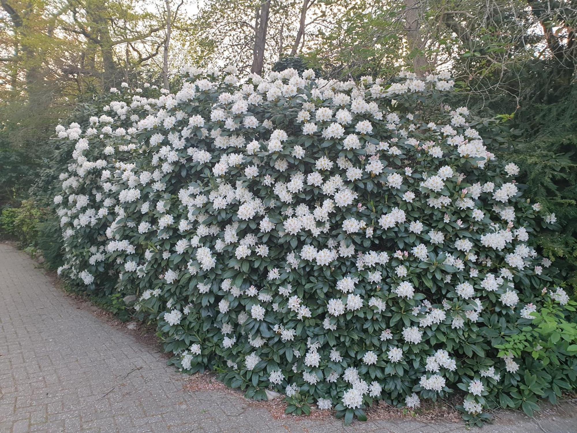 Ferienwohnung Morgensonne Вестерщеде Екстериор снимка